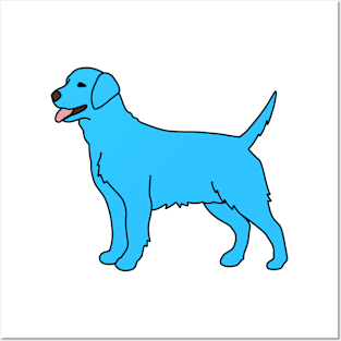 Blue Labrador Posters and Art